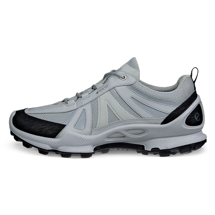 Ecco Biom  -trail Gtx Herre   Mænd  Concrete-42 Vandresko