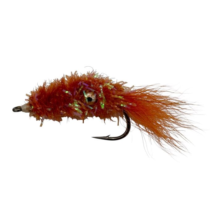 :on Cactus Shrimp Orange Str